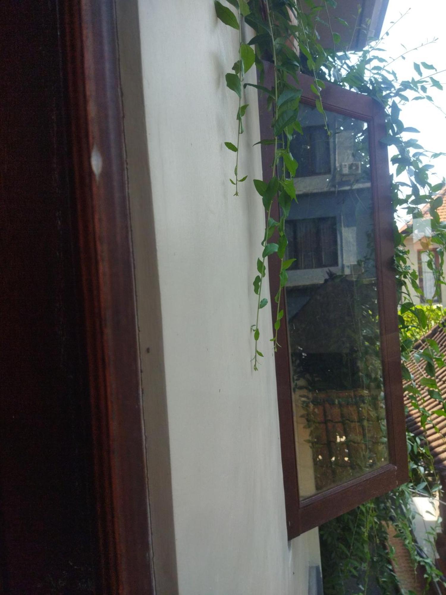 מלון אובוד Wahwik'S House מראה חיצוני תמונה