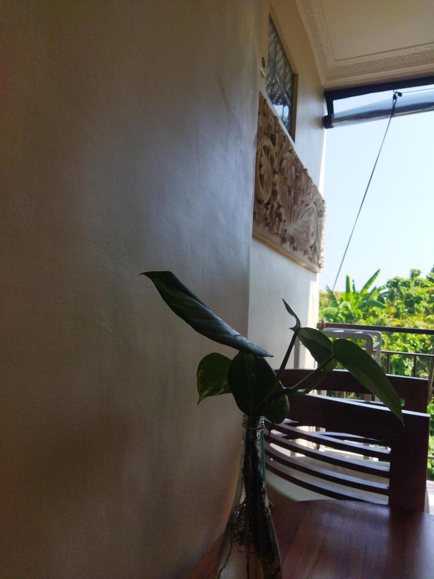 מלון אובוד Wahwik'S House מראה חיצוני תמונה